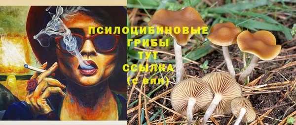 прущая мука Абаза