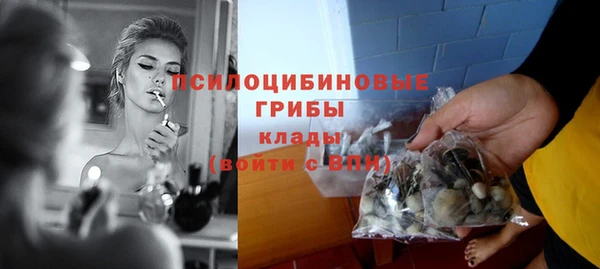 прущая мука Абаза