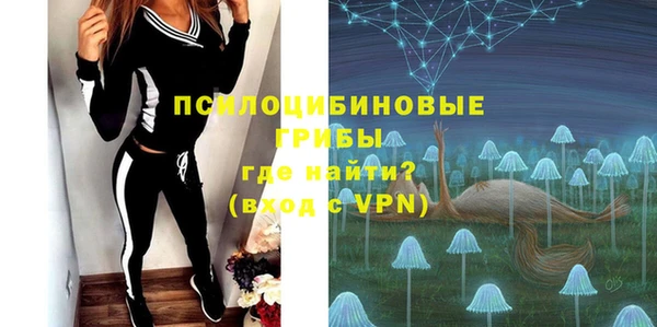 шишки Абинск