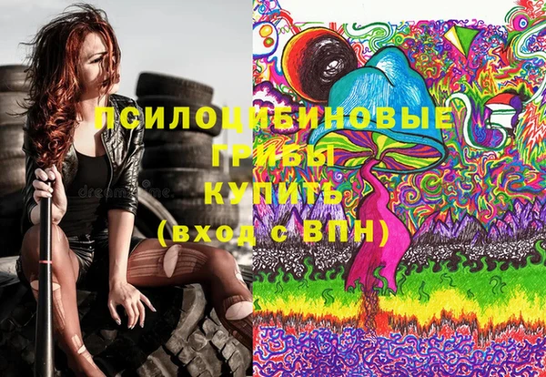 шишки Абинск